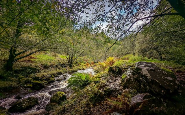 Mill Lodge Brecon Beacons