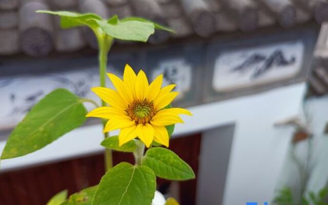 Po return. Slow talk