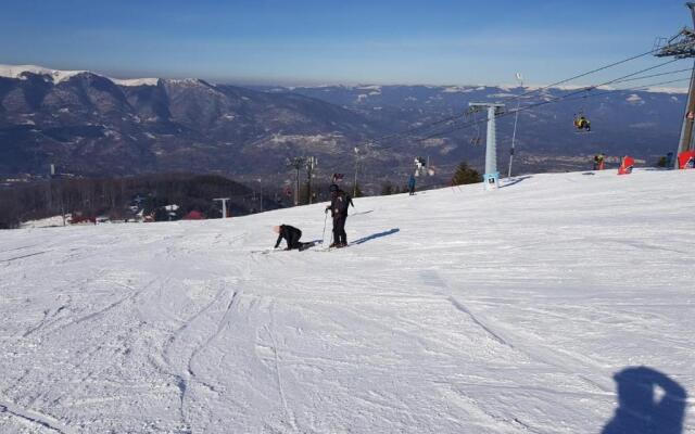 Apartament Rosi - Straja (Lupeni)