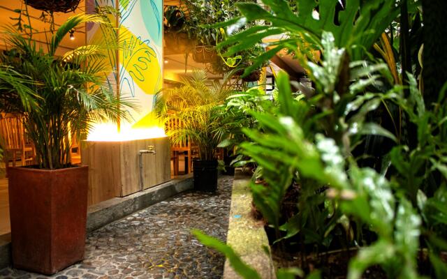 Hotel Natural