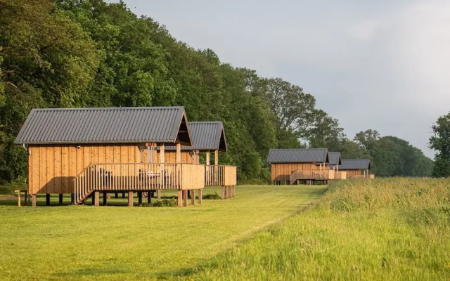 Lodges in Drenthe With Scenic Meadow Views