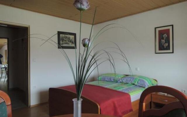 Apartmaji in sobe Kocjančič