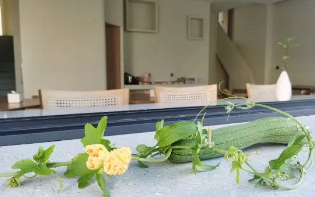 Tidal House B&B（Yuliao Scenic Area Store） – Pool – Wenzhou