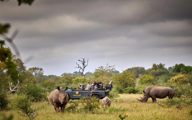 Motswari Private Game Reserve Resort by NEWMARK