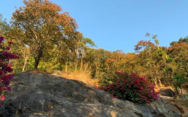 Jade Munnar