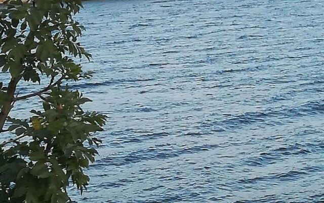 Apartment Villa Bijele Stijene