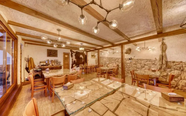 Hotel Alpine Castle