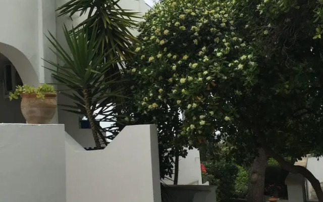 Villa Flora Studios & Apartments