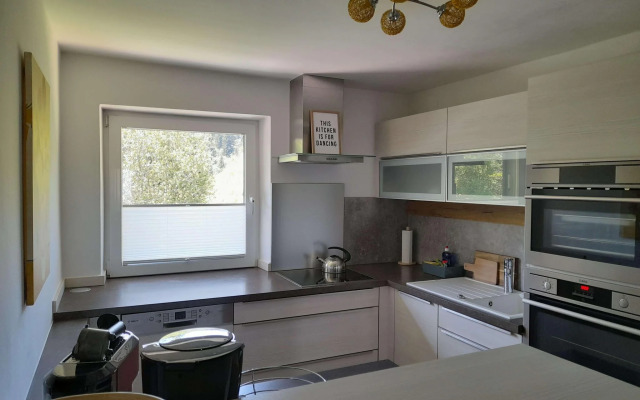 Cosy Apartment in Dienten with mountain view