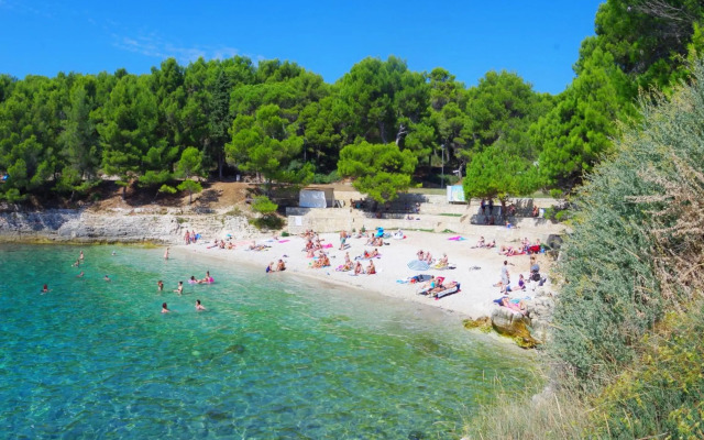 Apartment Suzi Valdebek