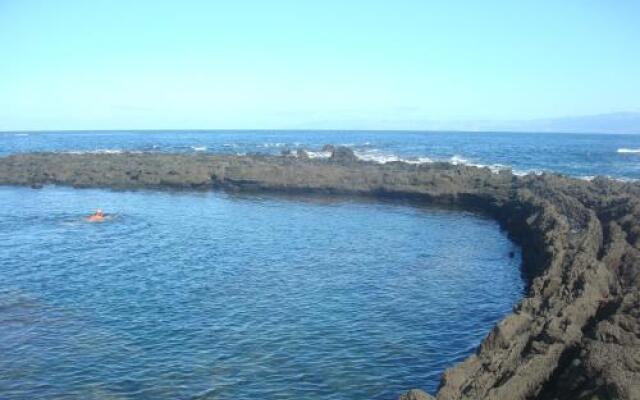 Vinea Lava Praia Campo Pico