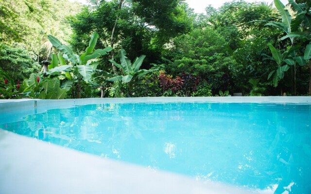 Dominican Tree House
