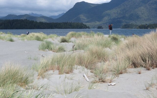 Cobble Wood & Bird Sanctuary Guest Houses