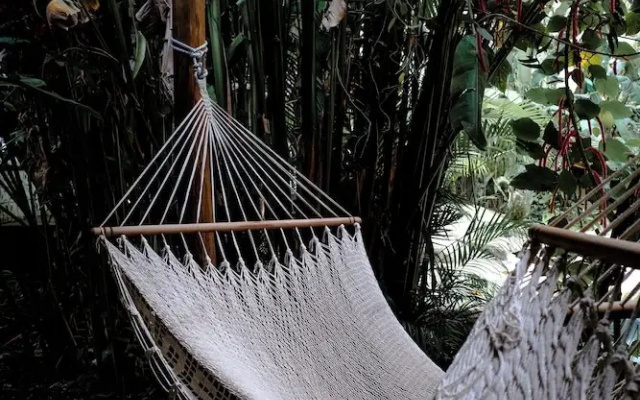 Conga Boutique Hotel
