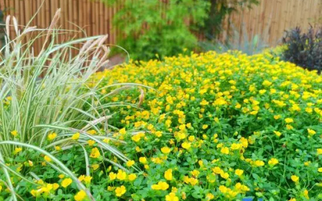 Xishuangbanna Sheye Tanxi Private Villa