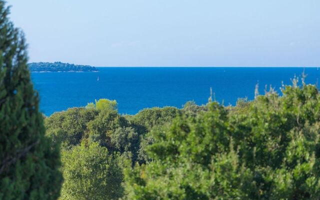 Salamander Pula in Pula