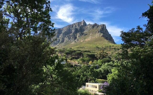 Leafy Hideaway House with Table Mountain Views