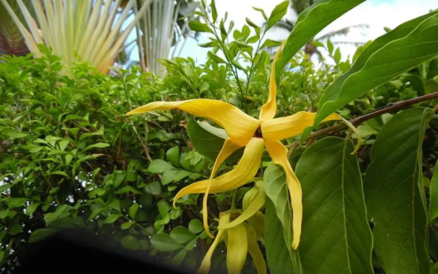 Villa Raybaud Résidence Les Cygnes