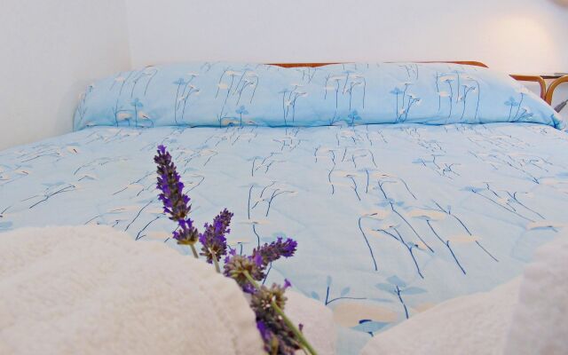 Apartment Vin - excellent location and close to the sea A Postira, Island Brac