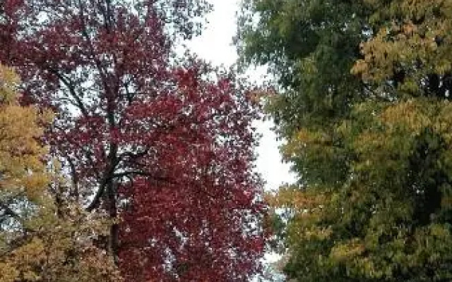 Apartamento Rural la Plaza Vieja