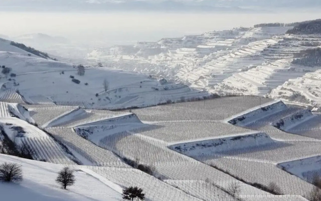 Savoir Vivre Modern Retreat