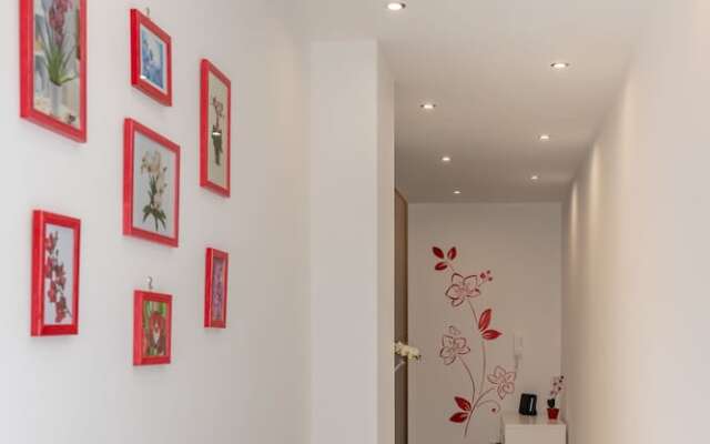 B&B Orchidea