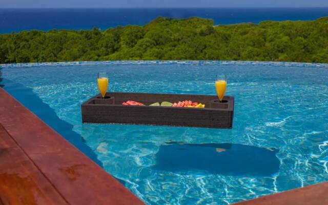 Nianna Luxurious Villa