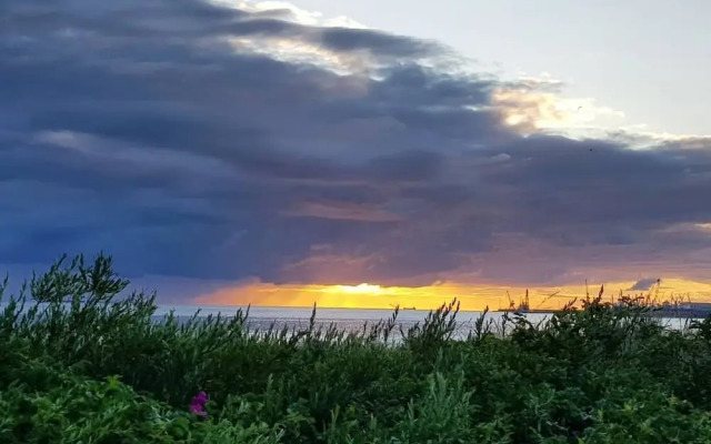 Cofy Rentals Tallinn