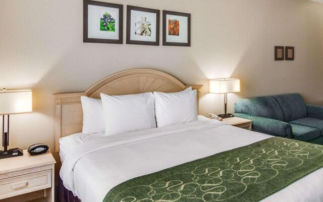 Comfort Suites Kingwood Houston North