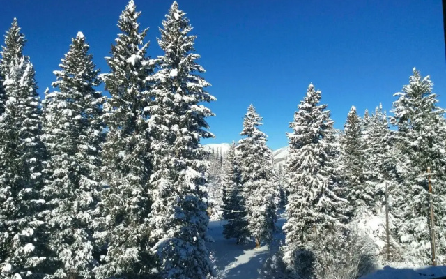 Ski-in/ski-out Solitude Condo w/ Rooftop Hot Tub!