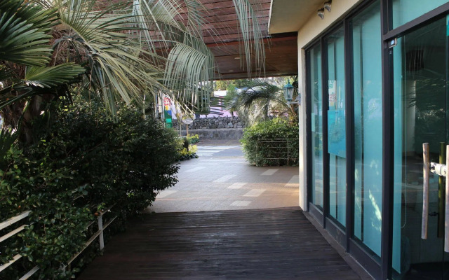 Palm Hill Pension