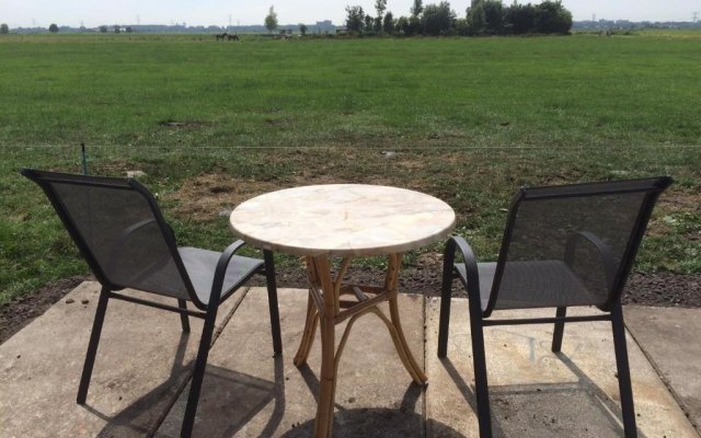 Your nice waggon at the Cow's Paradise