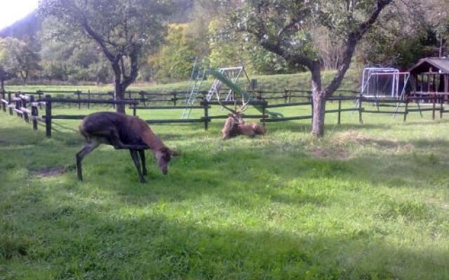 Hotel Il Vecchio Pescatore