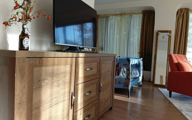 French Windows Loft Mrenitsov