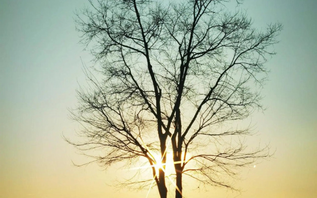 Xianju Love Home Farmhouse