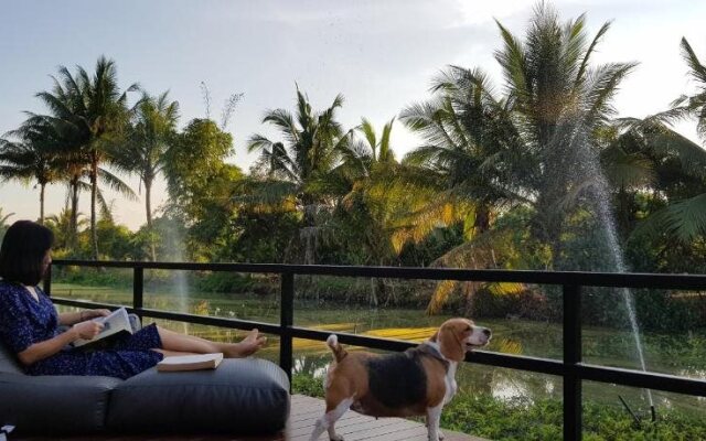 Free Clouds Resort