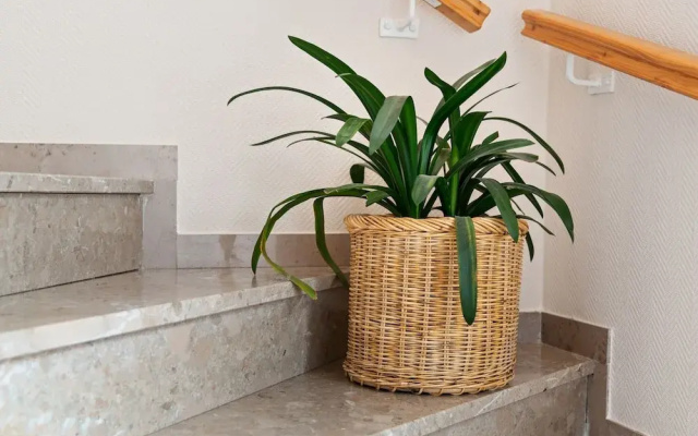 Cosy Apartment in Neustrassburg
