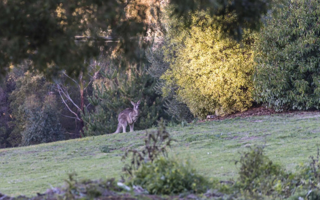 Macedon Ranges Hotel & Spa
