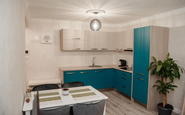 Divine Apartments Oradea Ap 18