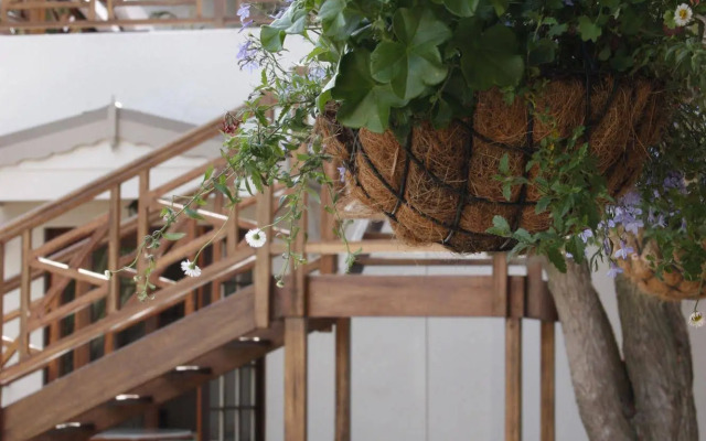 The Potting Shed Guest House