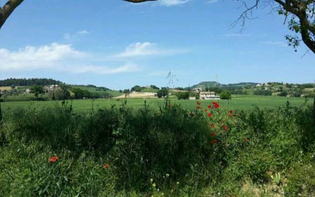 Agriturismo Azienda Agricola Alfieri