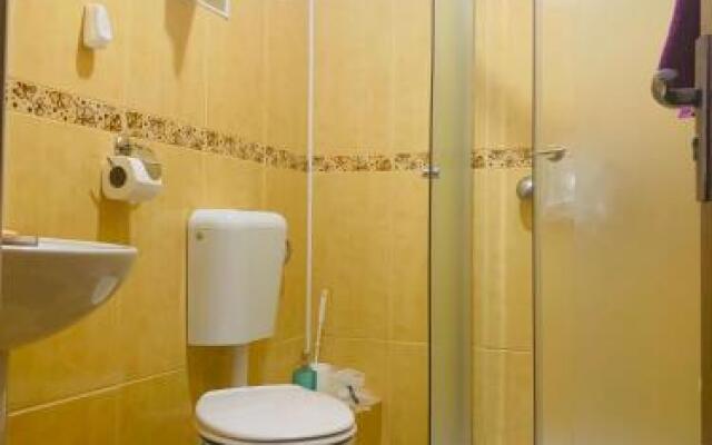 Vila Ammos Apartments Busteni