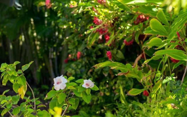 Noahs Hideaway Luxury B&B