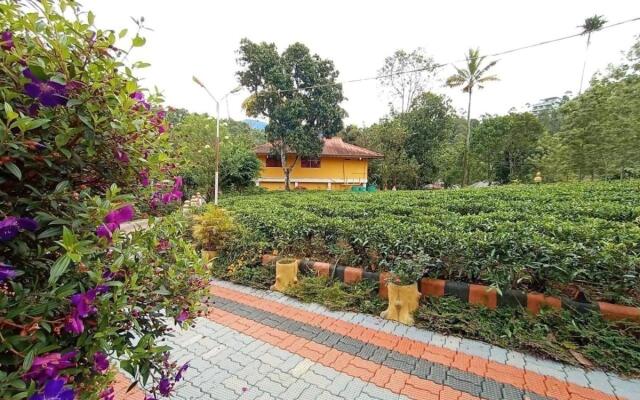 Chalona Jungle Eco Stay