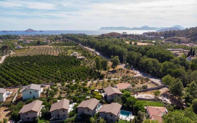 Gorgeous Villa With Private Pool and Jacuzzi in Fethiye
