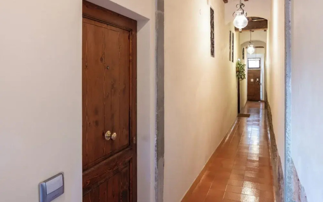 Carmine Apartment San Frediano