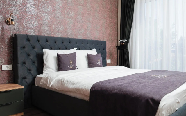 Vetus Hotel