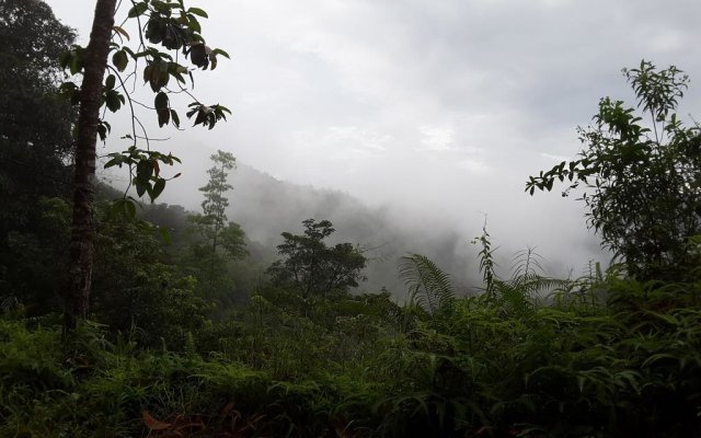 Sinharaja Birder's Lodge