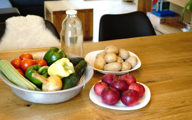 ecoHouse FURLAN - Apartment PINJA