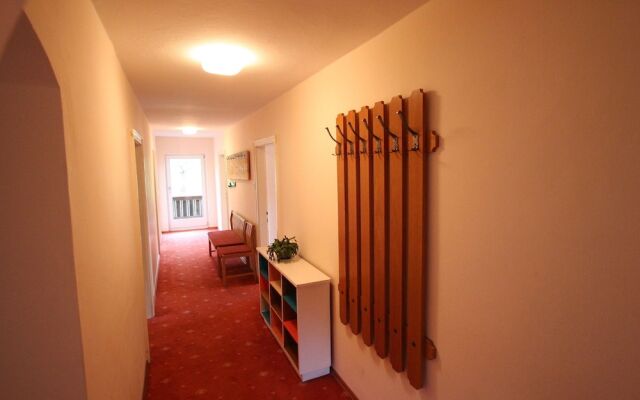 Lovely Pet-friendly Apartment in Hopfgarten